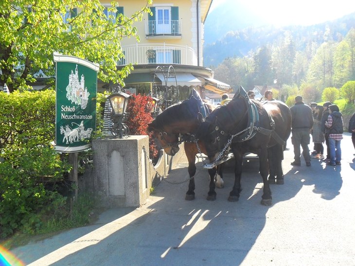 Caballos acceso Neuschwanstein