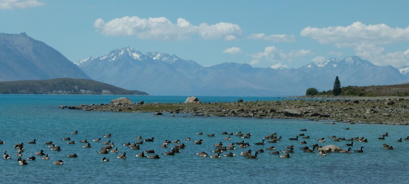 El lago Tekapo y los Alpes neozelandeses