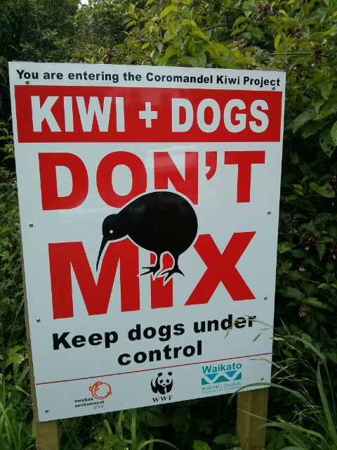 Kiwi y dogs dont mix