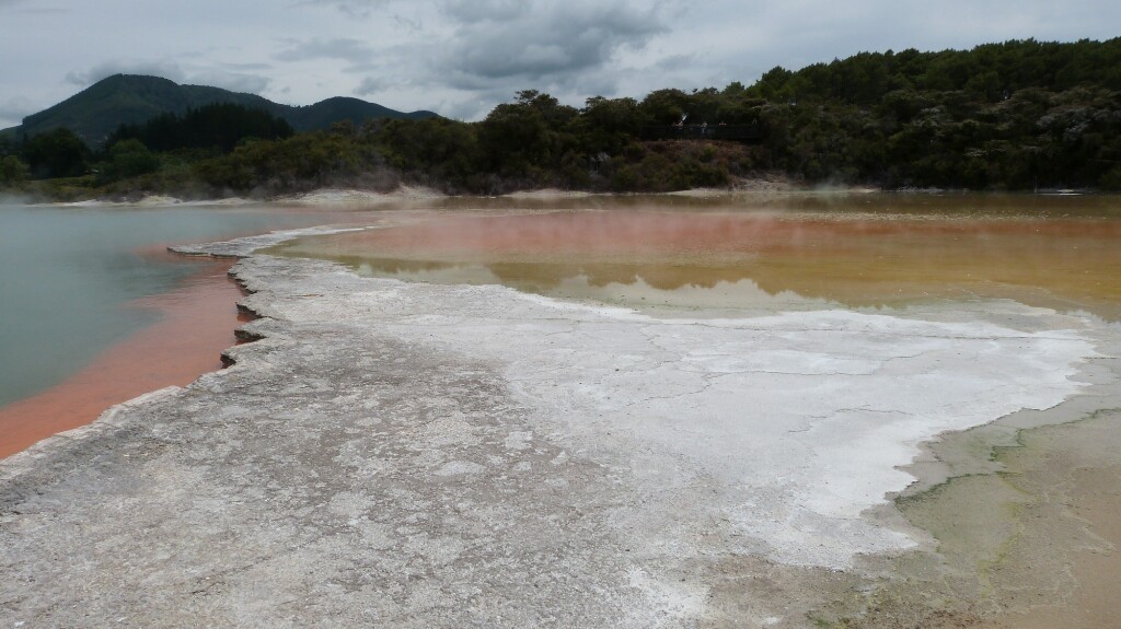 Piscina de champán y sulfuros en Rotorua