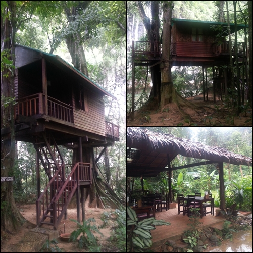 Nuestro alojamiento en Our Jungle House