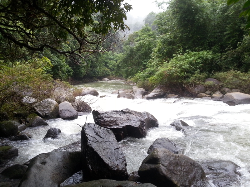 Paisaje en Khao Sok