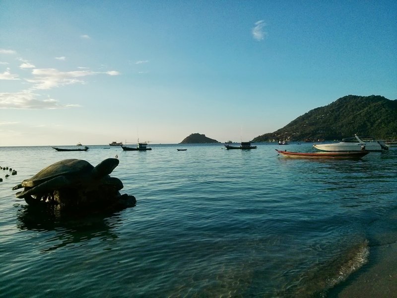 Isla Tortuga (Koh Tao - Tailandia)