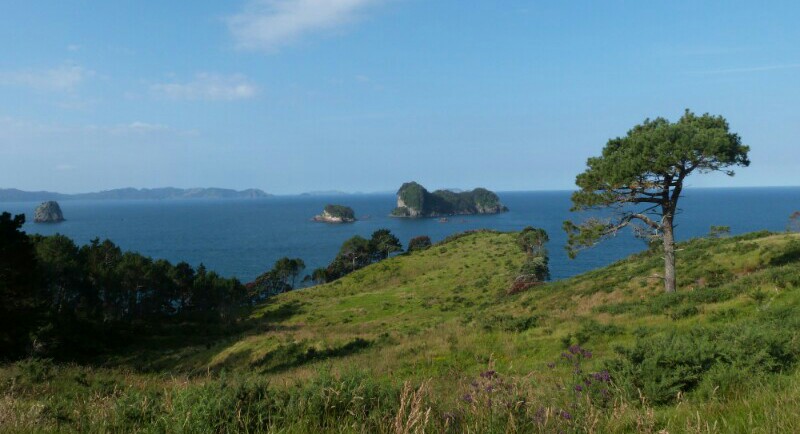 Escenas naturales en Coromandel