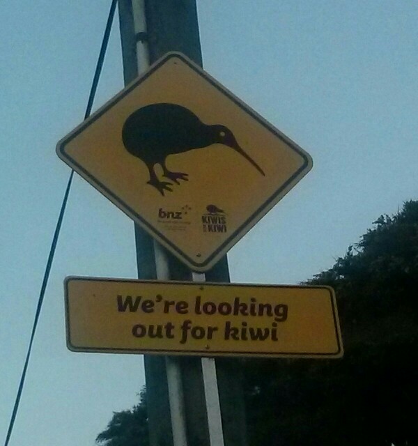 Kiwis en Coromandel