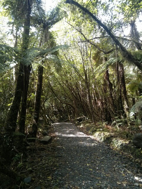 Sendero hacia el mirador