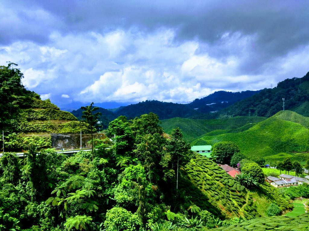 Paisajes de Cameron Highlands