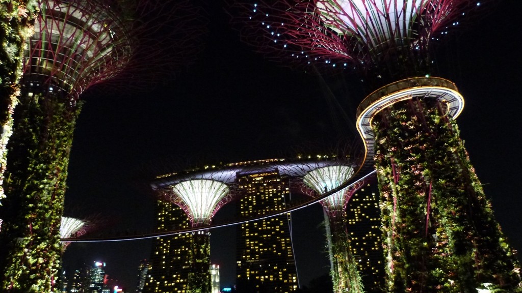 La noche sobre el gardens by the bay