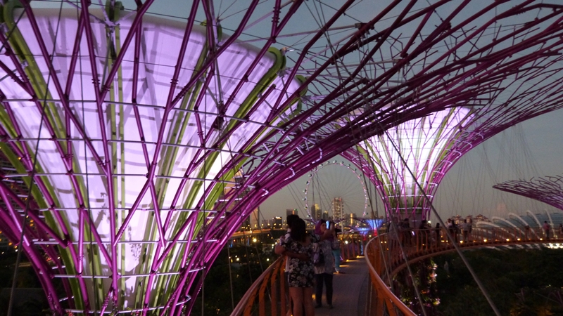 Primer plano desde el OCBC Skyway