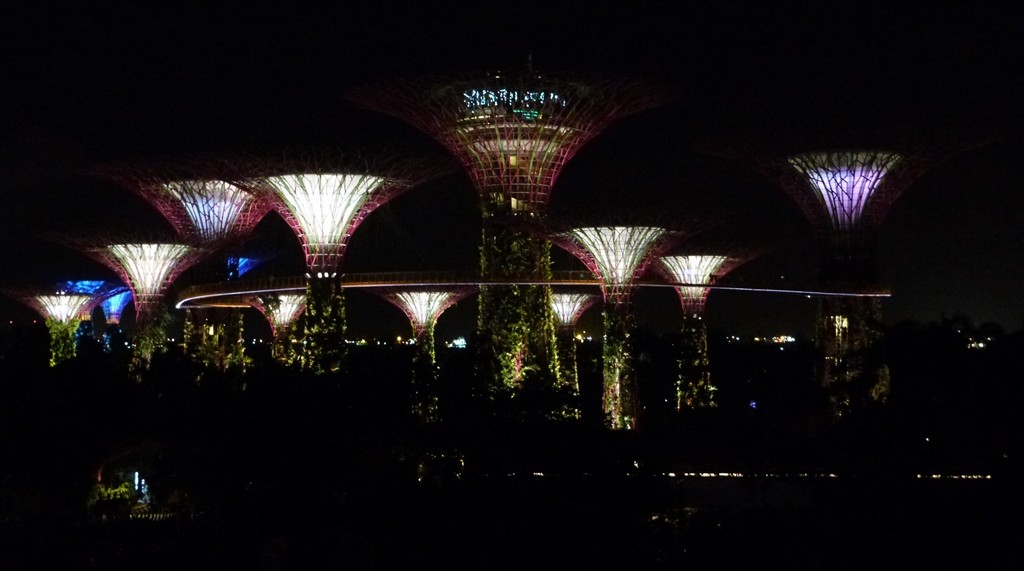 Vistas del Gardens by the Bay desde el mirador del MBS