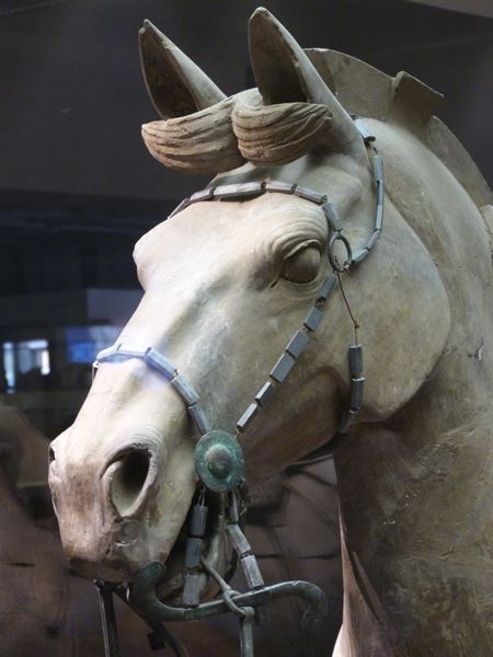 Detalle de un caballo del ejercito de Xian