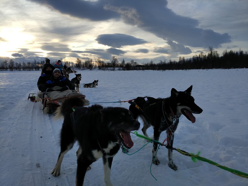 En el trineo de perros de Tromso