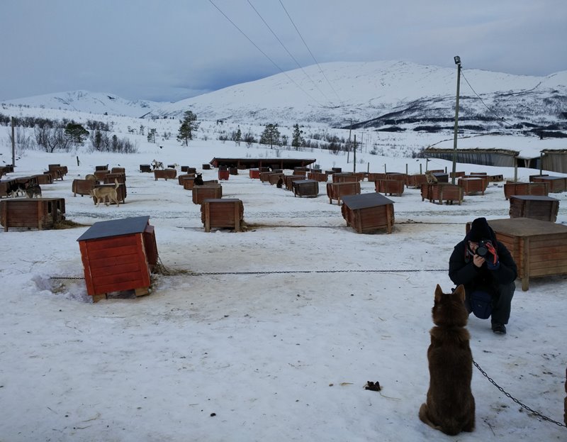 Making off del retrato al Alaska