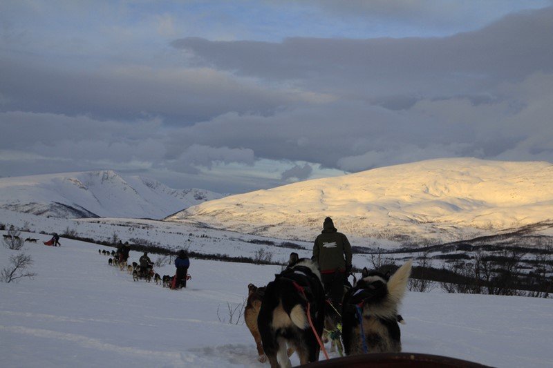 Trineo deslizando por la nieve