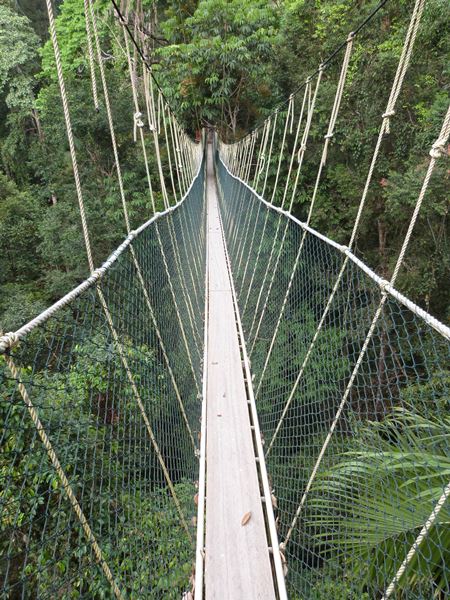 Afrontando el puente colgante