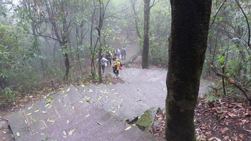 Escaleras en Zhangjiajie