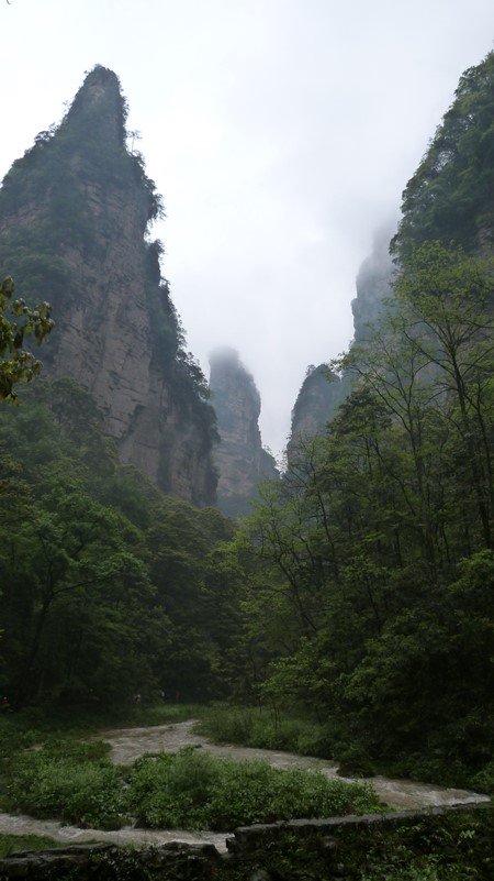 Golden Whip en Zhangjiajie