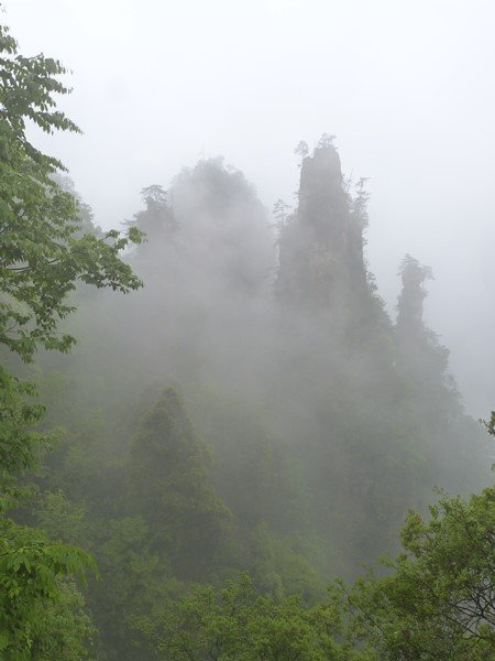 Niebla en Zhangjiajie