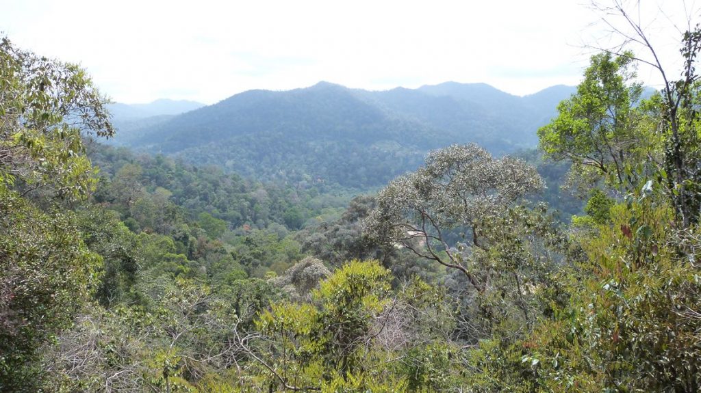 Panorámica de Taman Negara