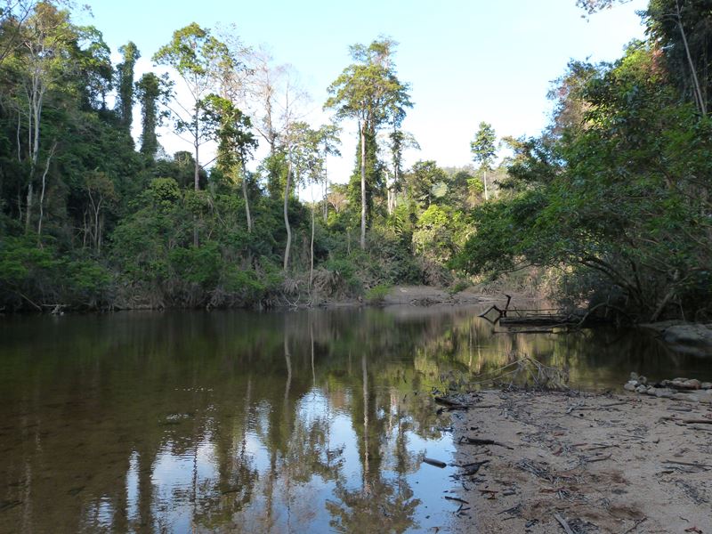 Ribera del río Tahan en Taman Negara