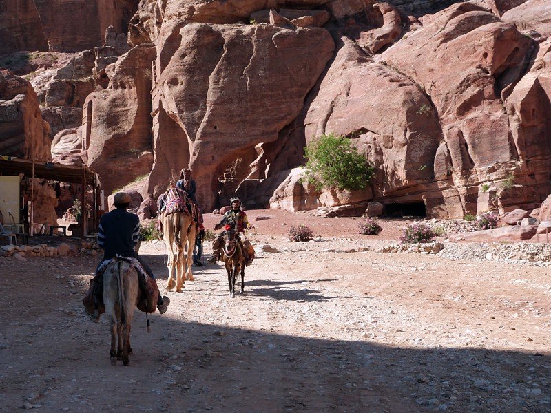 Comerciantes a primera hora por Petra