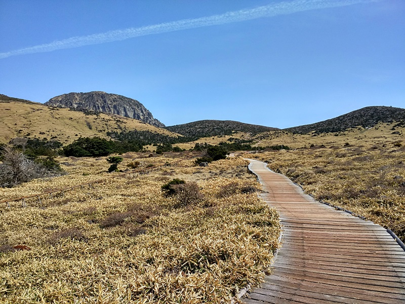 Caminando hacia el Monte Hallasan