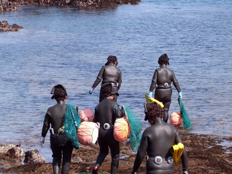 Mujeres buceadoras de Jeju