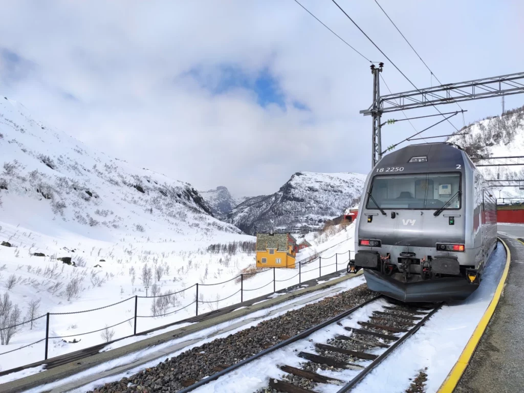 Estación-Myrdal-Tren-Flam